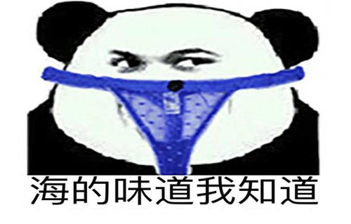 海的味道我知道是什么意思？