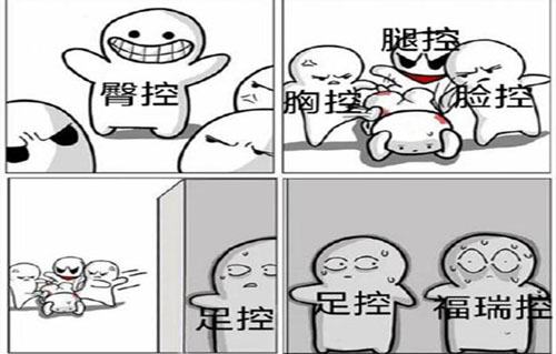 福瑞控是什么意思？