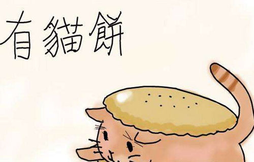 有猫饼是什么意思？