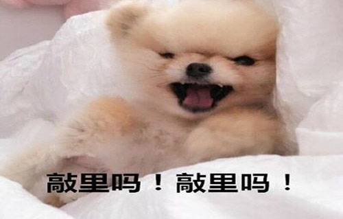 敲里吗是什么意思？