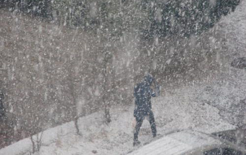 雪花飘飘，北风萧萧是什么意思？