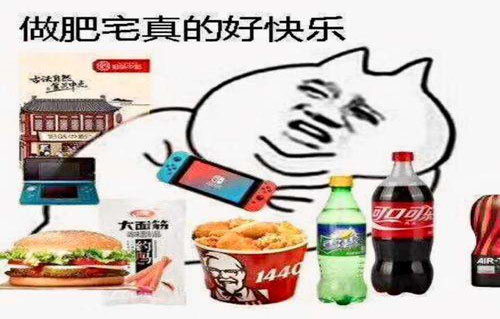 肥宅是什么意思？